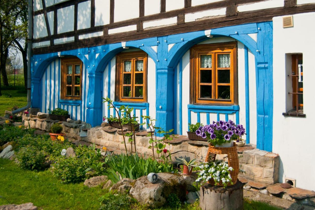 Dom Przyslupowy Educare -Agroturystyka Slow Food Swieradow-Zdroj Exterior photo